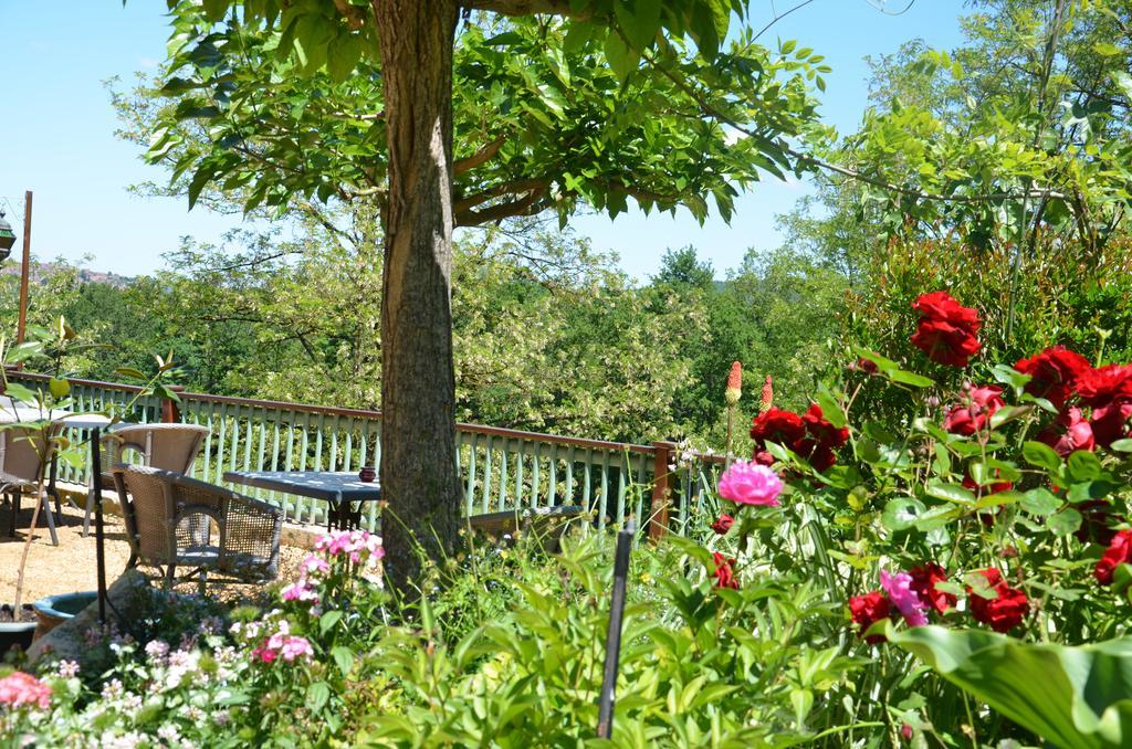La Gueriniere Bed and Breakfast Cénac-et-Saint-Julien Eksteriør billede